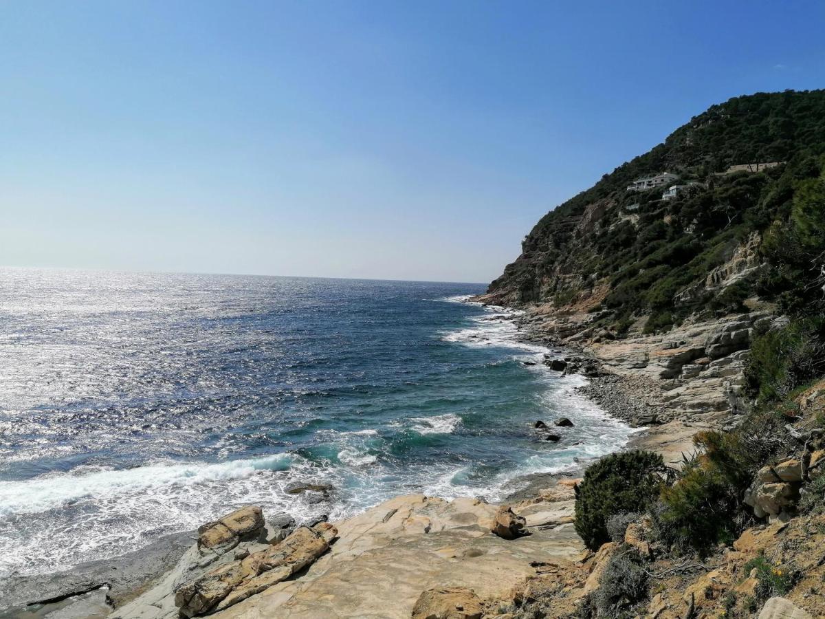 Villa Dali La Garde 260M2 Jacuzzi, Sauna, Piscine, Jardin 500M2, 5 Minutes De La Plage Εξωτερικό φωτογραφία