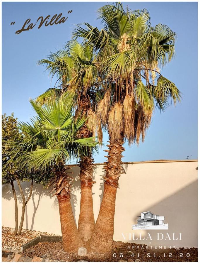 Villa Dali La Garde 260M2 Jacuzzi, Sauna, Piscine, Jardin 500M2, 5 Minutes De La Plage Εξωτερικό φωτογραφία